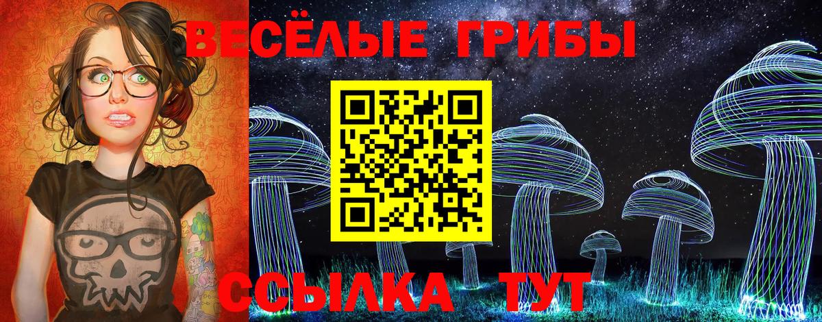 купить наркотик  Вход с VPN  Гагарин  Псилоцибиновые грибы мухоморы 