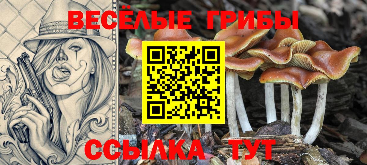 Псилоцибиновые грибы Magic Shrooms Гагарин